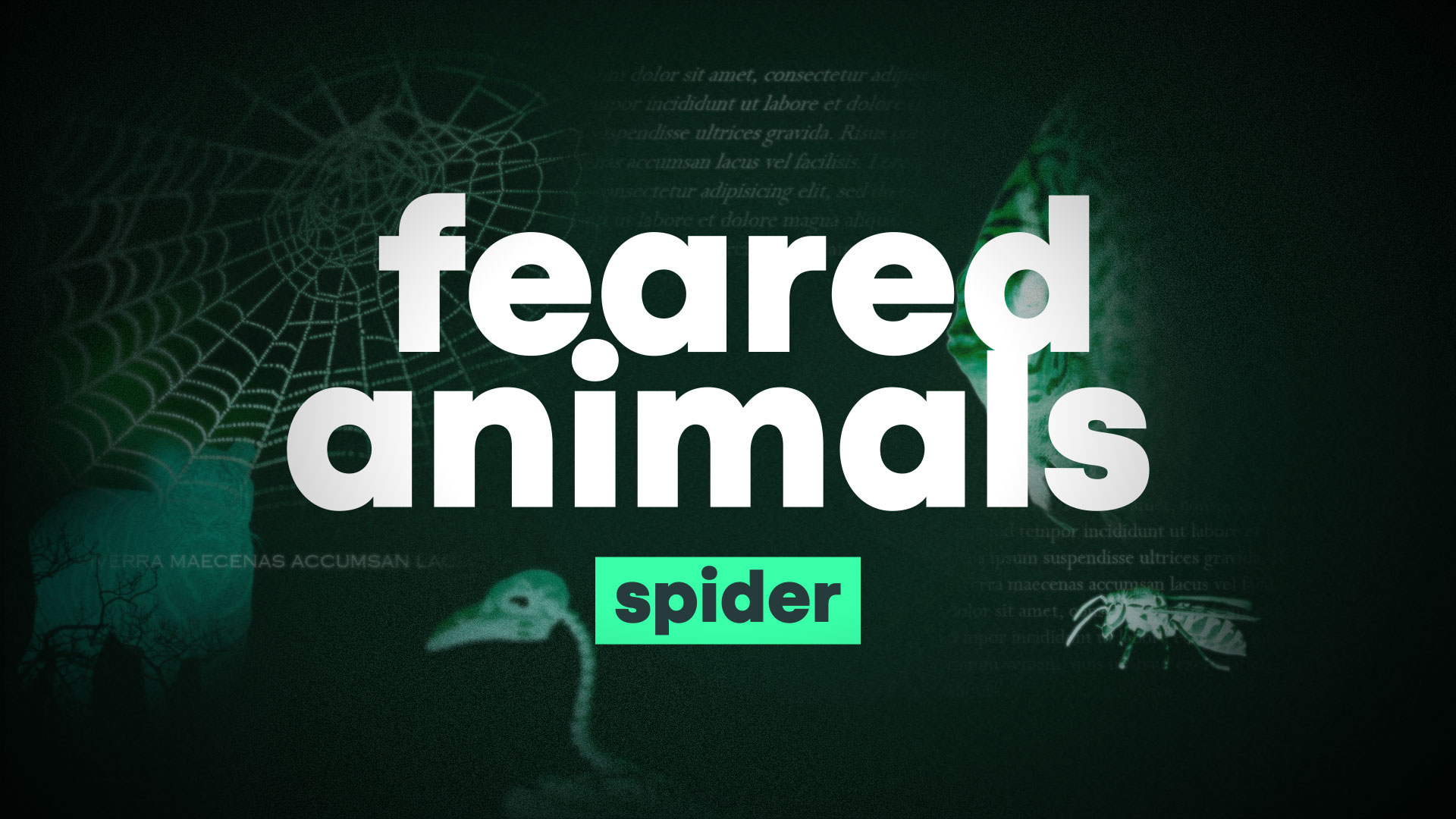 Feared Animals (Work In Progress)